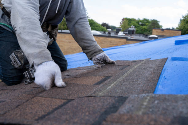 Best Residential Roofing Contractor  in Harb, OR